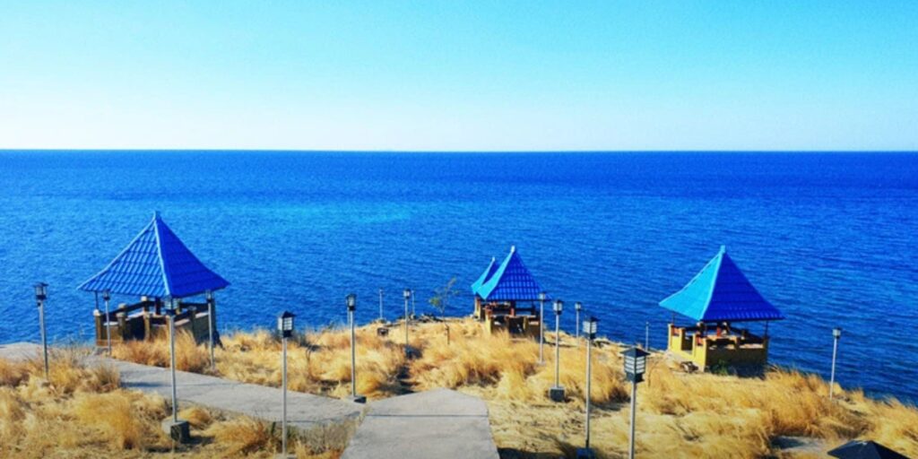 Supplier Kopi Luwak di Sikka