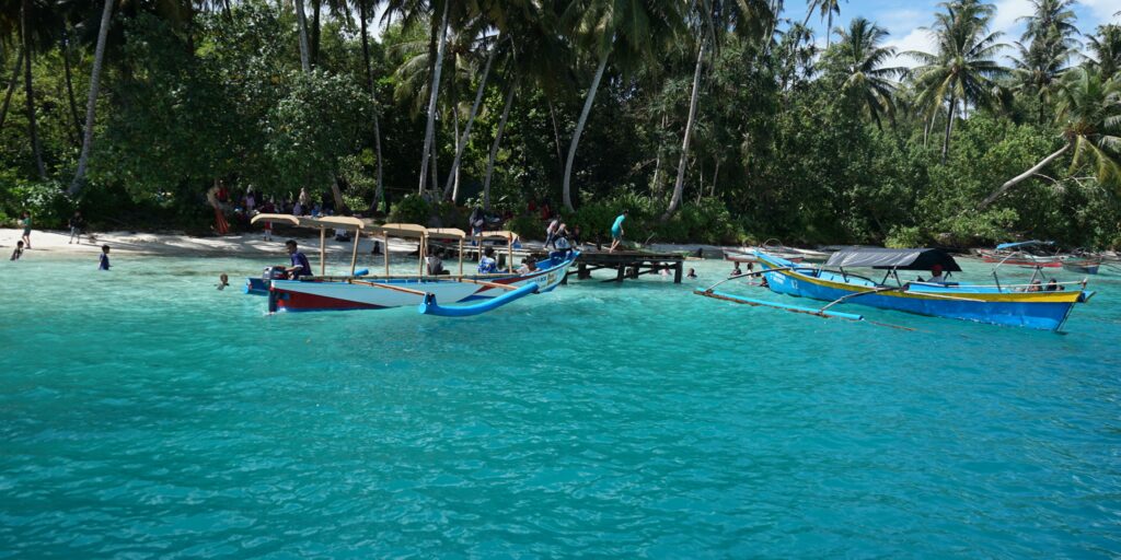 Supplier Kopi Luwak di Simeulue