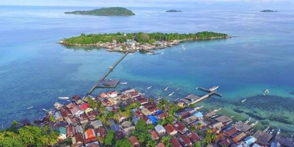 Supplier Kopi Luwak di Sinjai