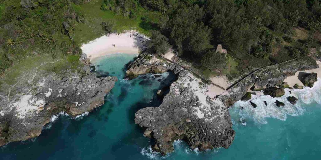 Supplier Kopi Luwak di Sumba Barat Daya