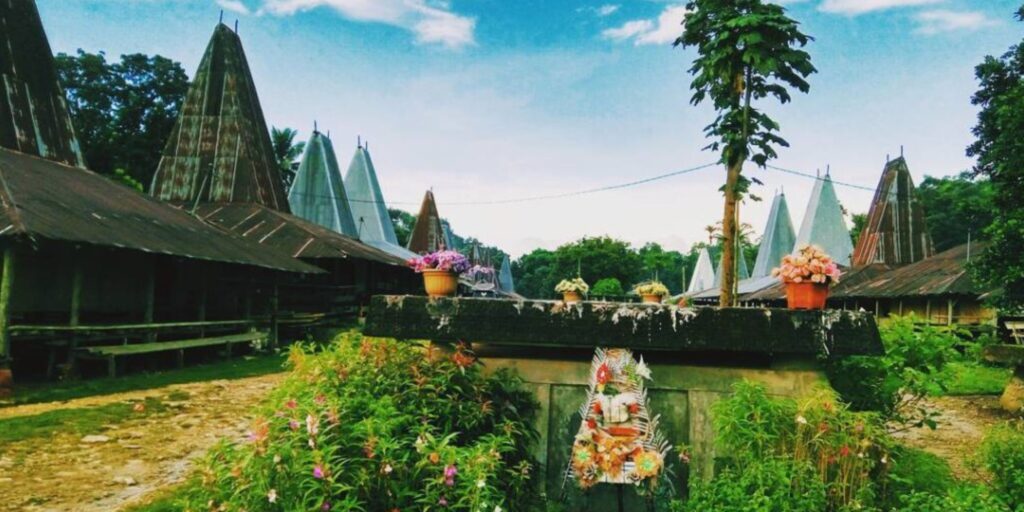 Supplier Kopi Luwak di Sumba Tengah