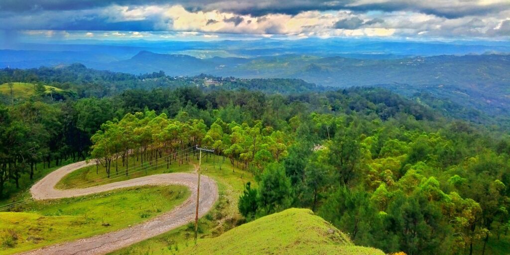 Supplier Kopi Luwak di Timor Tengah Selatan
