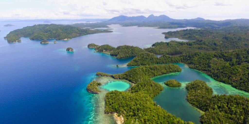 Supplier Kopi Luwak di Tojo Una-Una