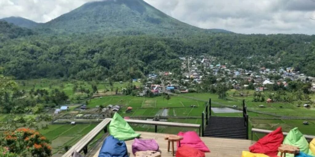 Supplier Kopi Luwak di Tomohon