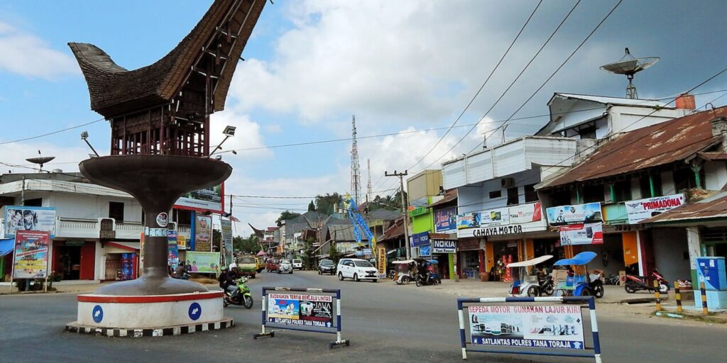 Supplier Kopi Luwak di Toraja Utara