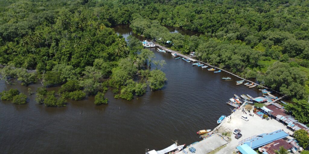 Supplier Kopi Luwak di Waropen