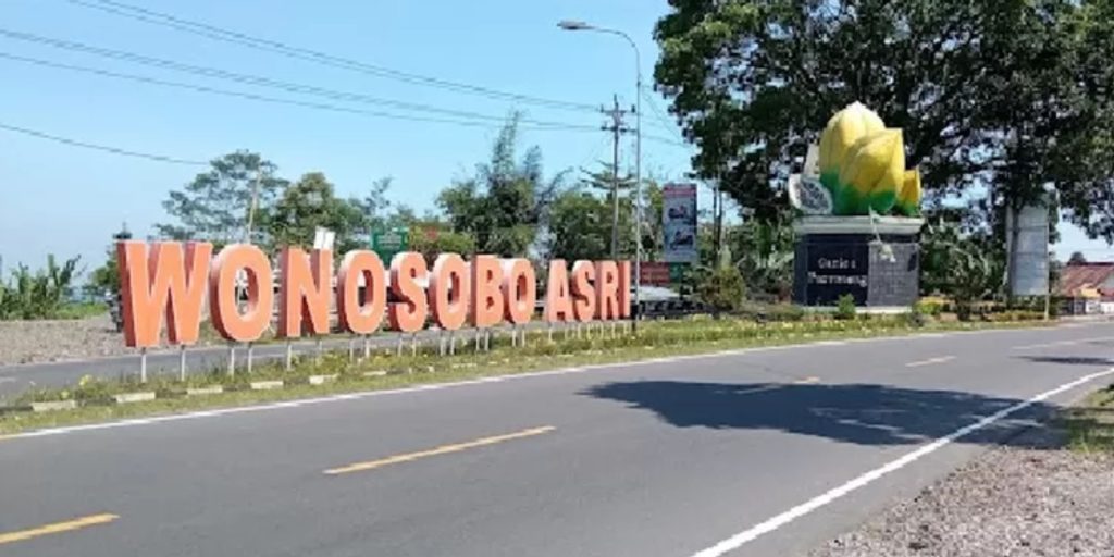 Supplier Kopi Luwak di Wonosobo