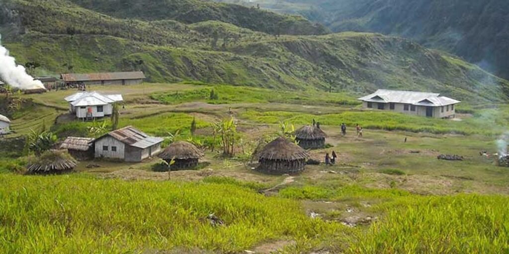 Supplier Kopi Luwak di Yahukimo