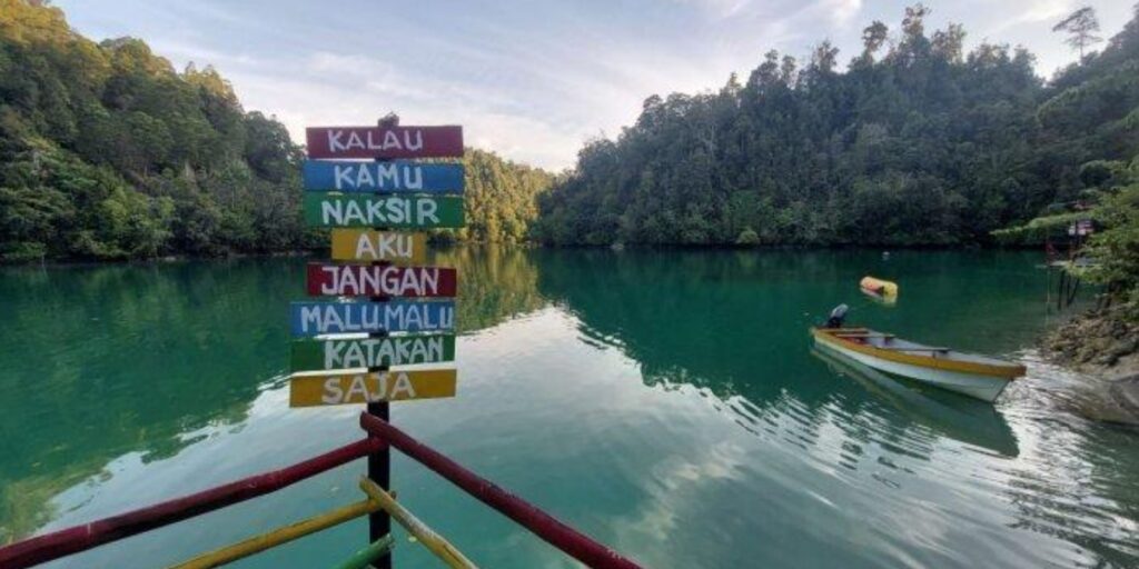 Supplier Kopi Luwak di Yapen Waropen